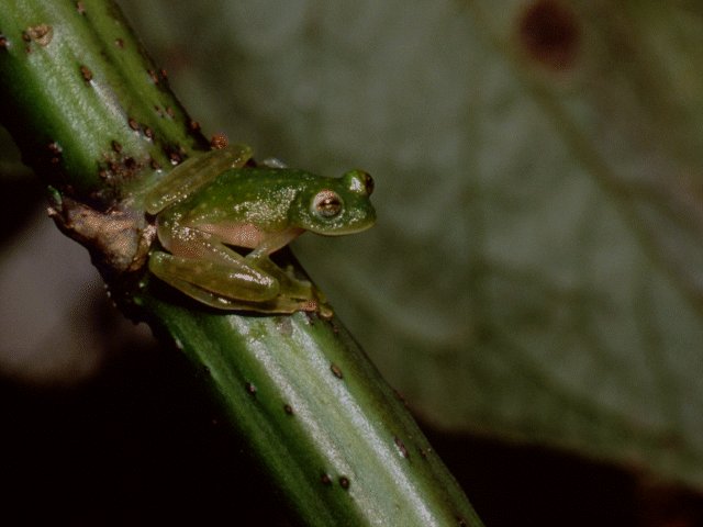 Photos - Nature - 089